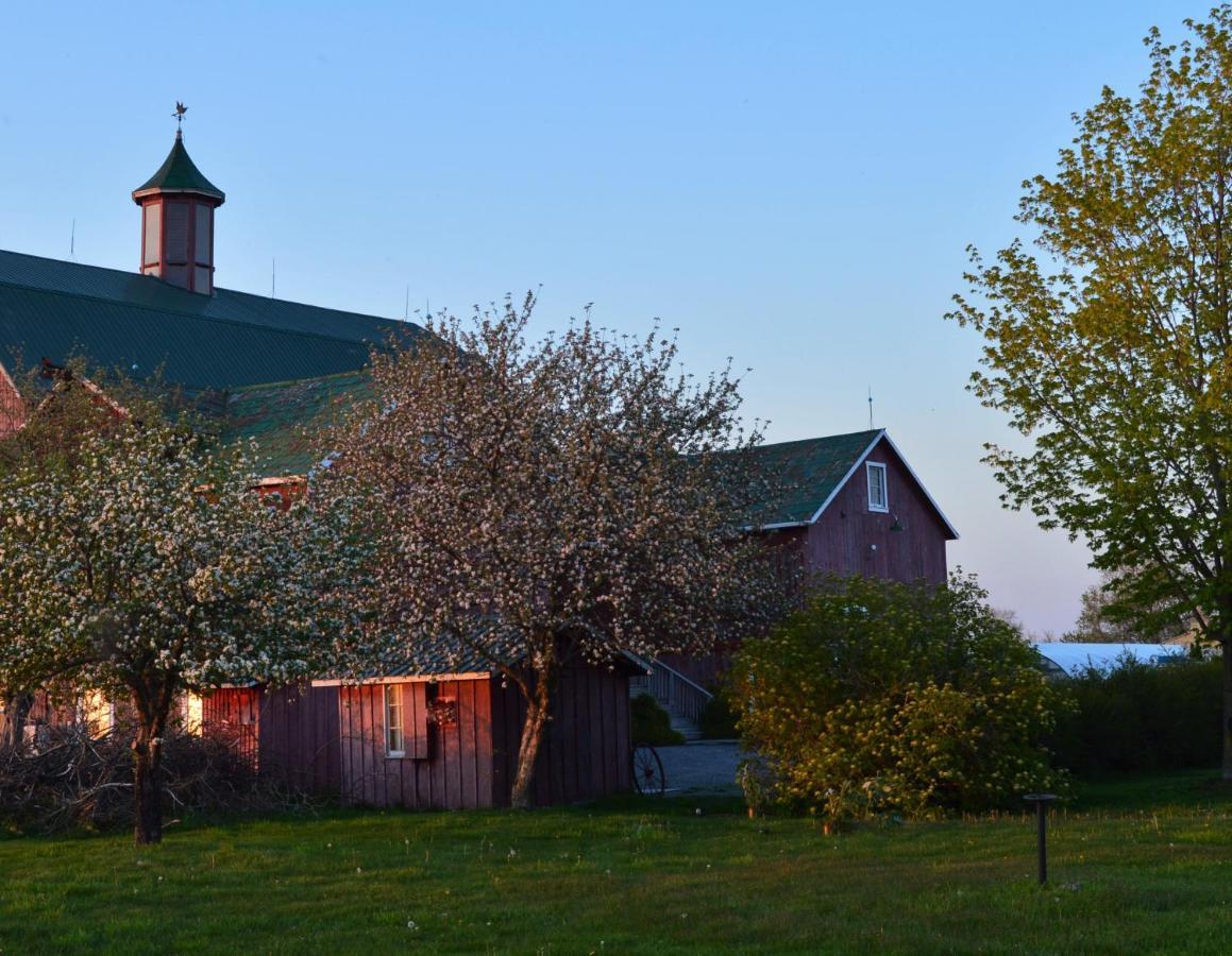 The Eddie Hotel And Farm Bloomfield Buitenkant foto